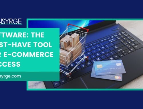 Software: The Must-Have Tool for E-commerce Success